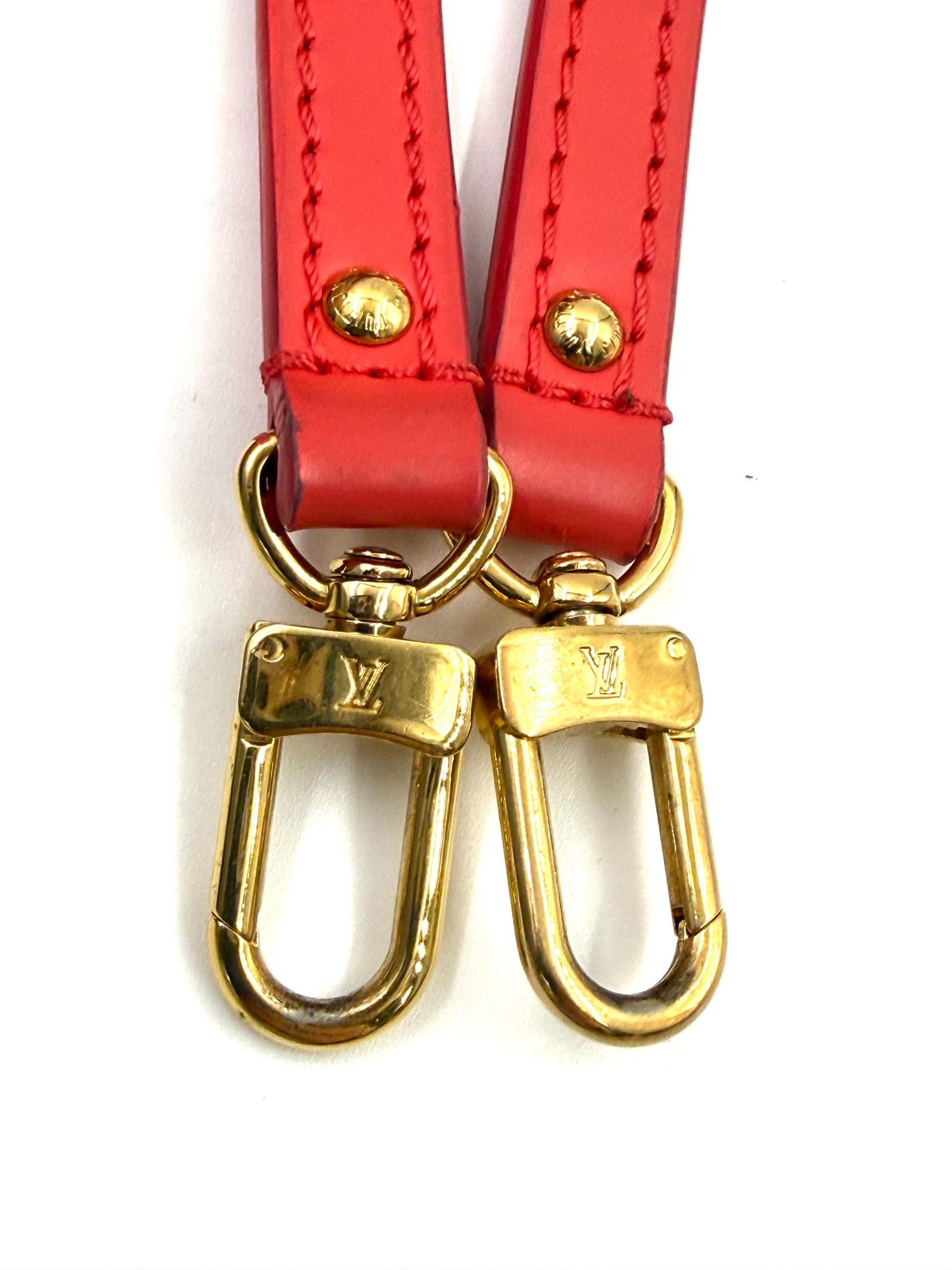 Detailaufnahme von roten Lederträgern mit goldfarbenen Haken der LOUIS VUITTON Alma BB Love Birds Tasche