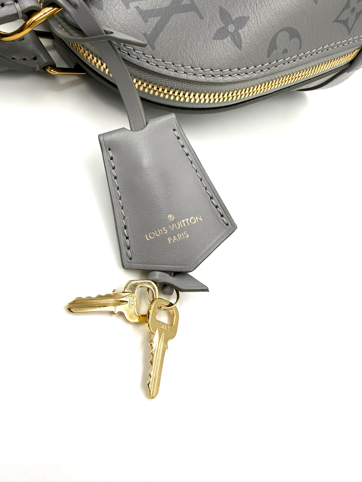 LOUIS VUITTON Alma BB Monogram Ink