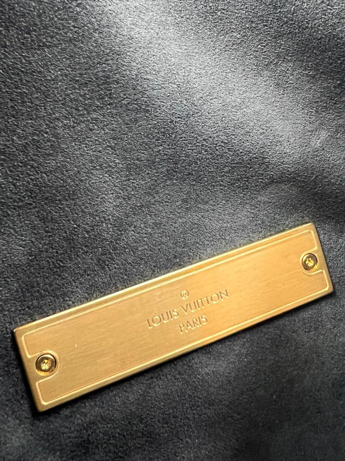 LOUIS VUITTON Dauphine MM Monogram Reverse goldfarbene Logo Plakette