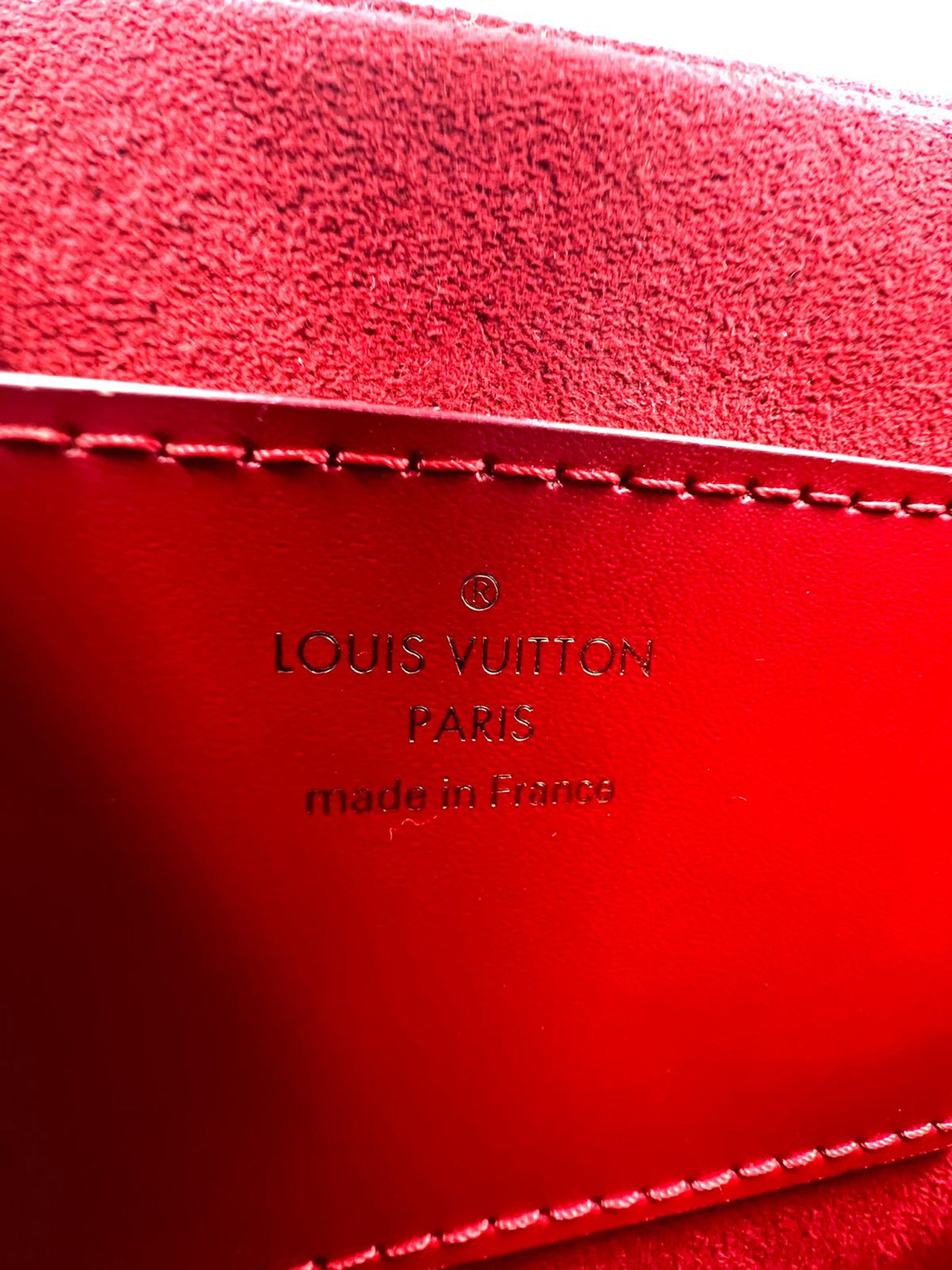 LOUIS VUITTON Twist MM Cat Print Gris mit rotem Innenfutter und Made in France Prägung