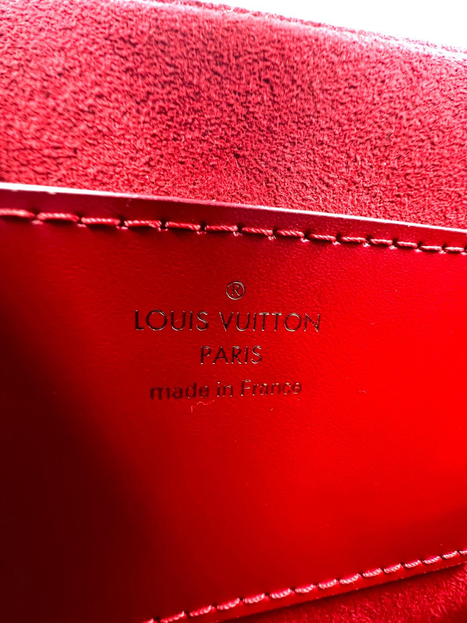 LOUIS VUITTON Twist MM Cat Print Gris mit rotem Innenfutter und Made in France Prägung