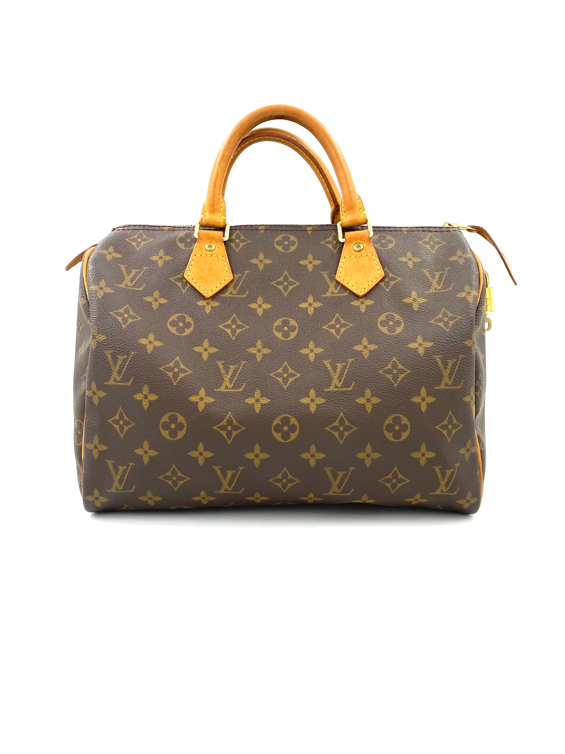 LOUIS VUITTON Speedy 30 Monogram Canvas Clutch Macarons