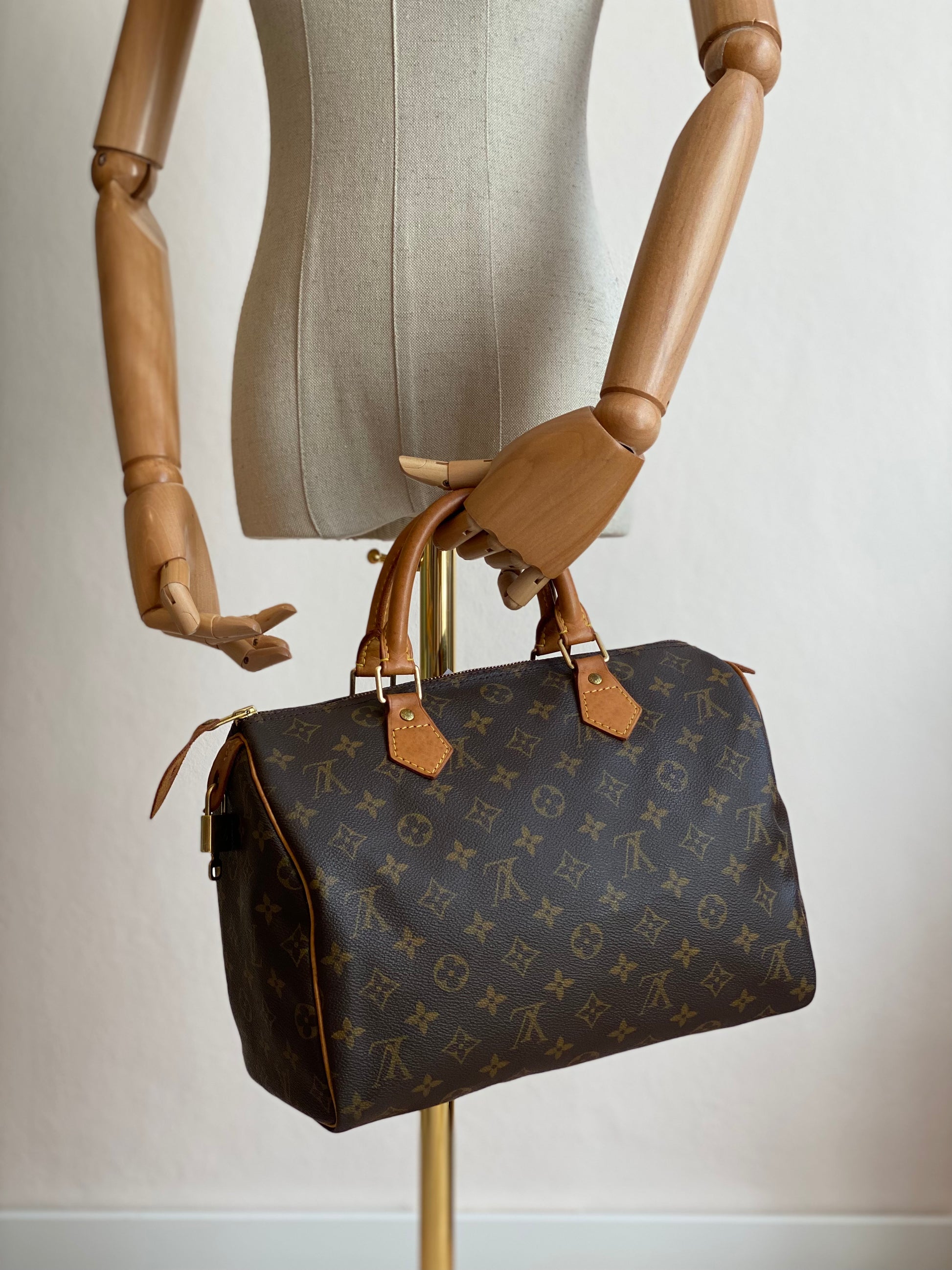 LOUIS VUITTON Speedy 30 Monogram Canvas Clutch Macarons